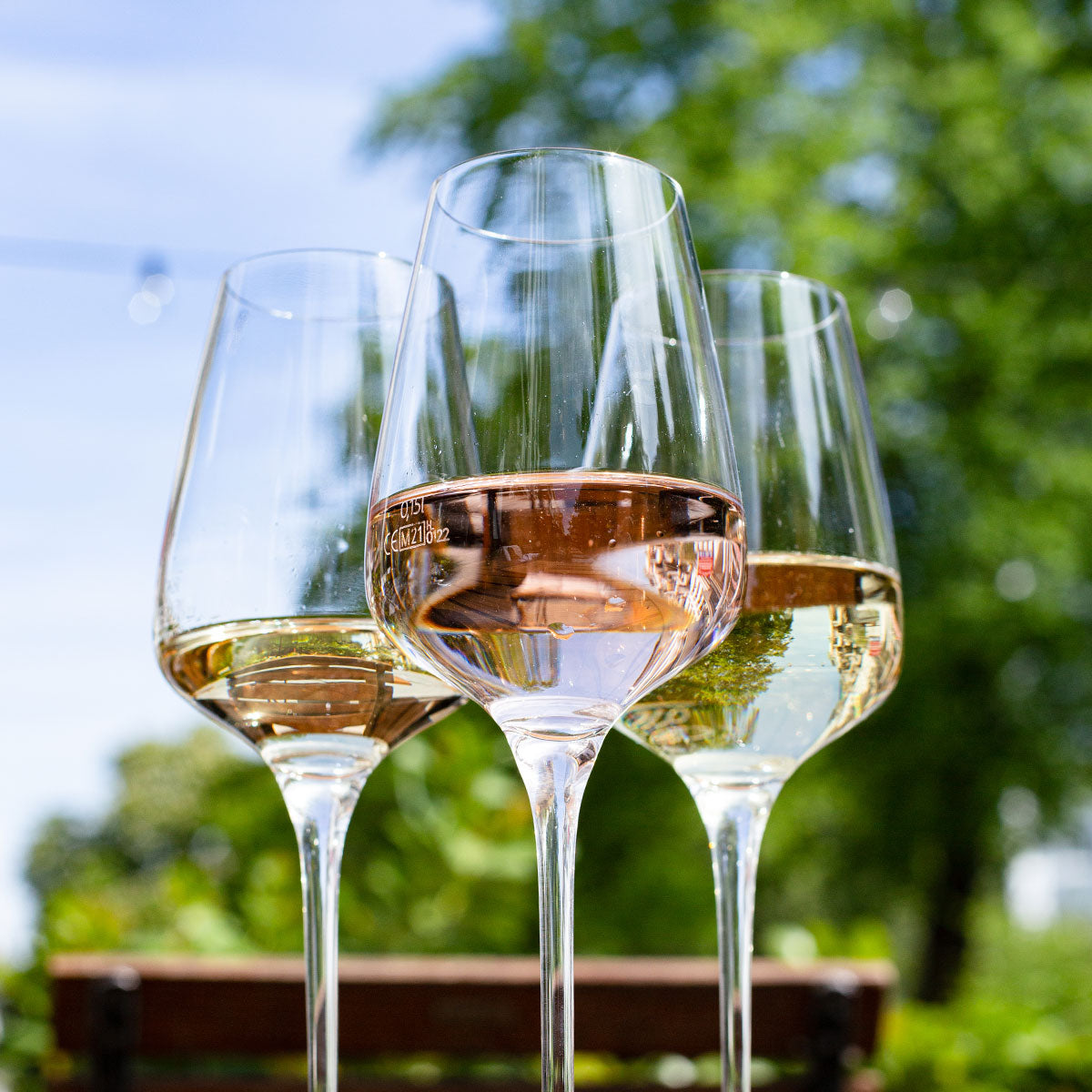 Sans Pretention Rosé